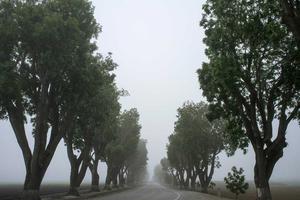 Strongest New Pokemon of Gen 9 Competitively