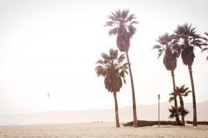 Top 10 Worst Things About American Idol