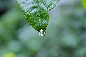 Top 10 Hottest Men Alive