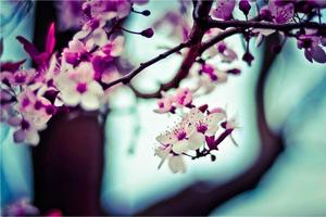 Top Ten Among Us Polus Tasks