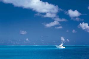 Top 10 Common Myths About the Human Body