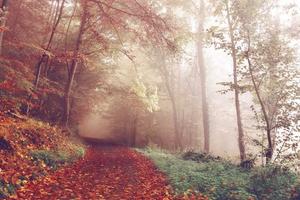 Top 10 Best Pokemon Regions