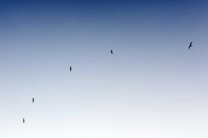 Top Ten Things Insomniacs Are Tired of Hearing