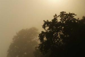 Top 10 Reasons to Love Stampylonghead