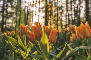 Top 10 Worst Things About Disney