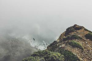 Top 10 Healthcare Management Companies