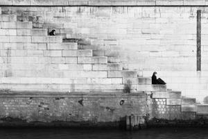 Top Ten Things Marijuana Can Help You With