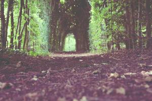 Top 10 Best Surveys / Quizzes on MySpace