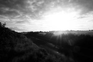 Best Gravity Falls Quotes