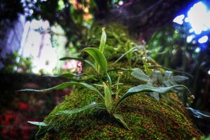 The Top 100 Sports Movies That Will Inspire and Entertain