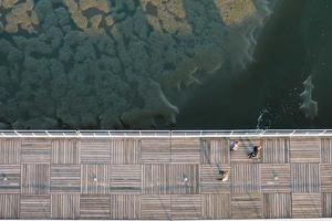 Best International Rugby Players