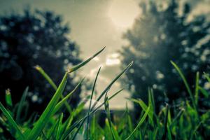 Top 10 Myths About British People