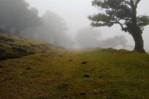 Top 10 Best CrossFit Gyms In the US