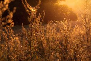 The Top 100 Sports Moments That Will Leave You Breathless