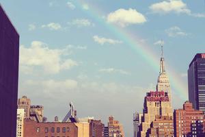 Top 10 Newest Chihuahuas Available for Adoption in the U.S.