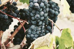 Top 10 Funniest Things to Do in a Classroom