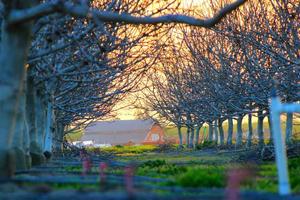 Top 10 Best Steven Universe Episode Ideas