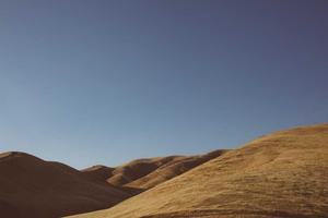 Top 10 Facts About Five Nights at Freddy