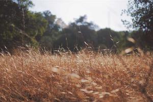 Top Ten Stupid and Funny Labels That Have Actually Been Put On Products