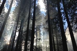 Top 10 Best My Little Pony: Equestria Girls Songs