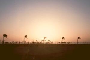 Top Ten Boxing Fights of 2014